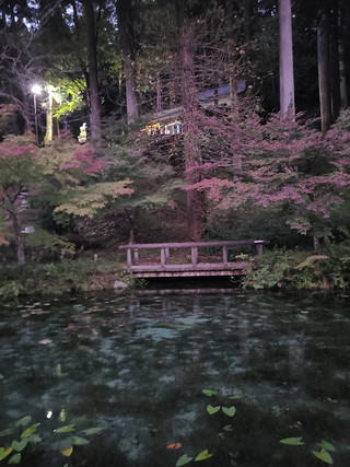 20241103_171607