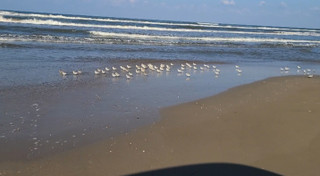 Screenshot_20241210_223226_galler_2