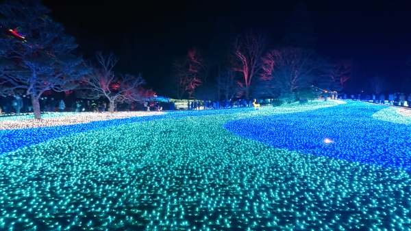 20200211_8