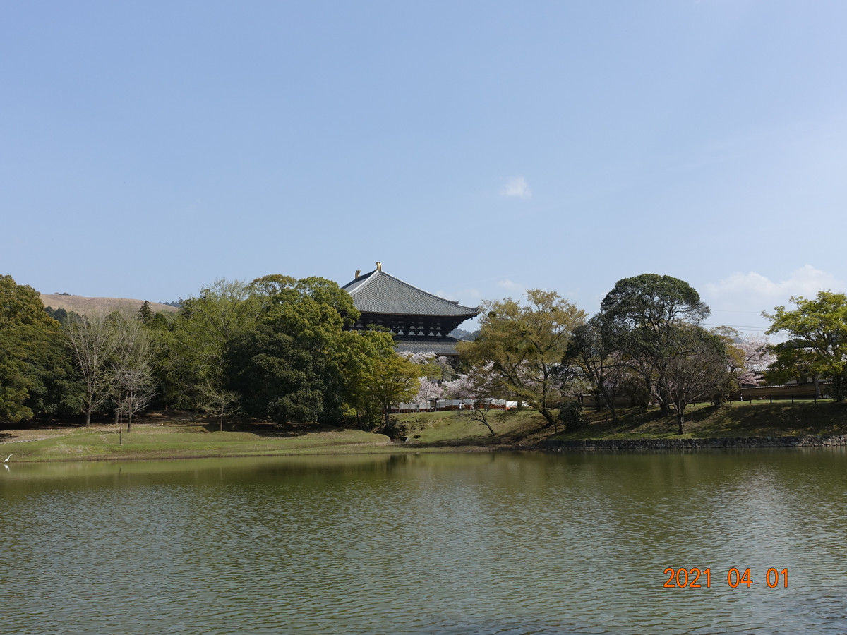 Photo_3